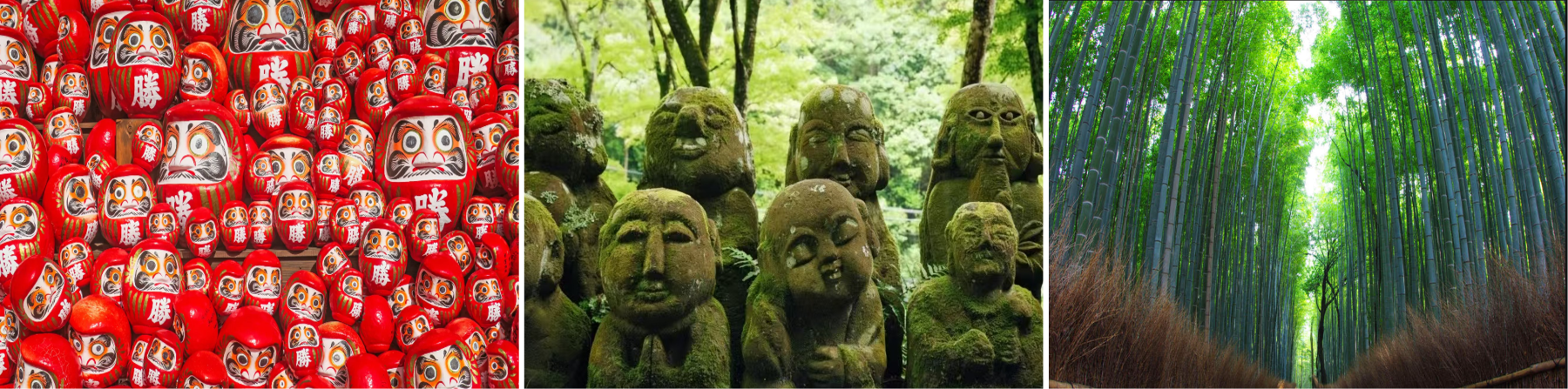 京都+岚山一日游