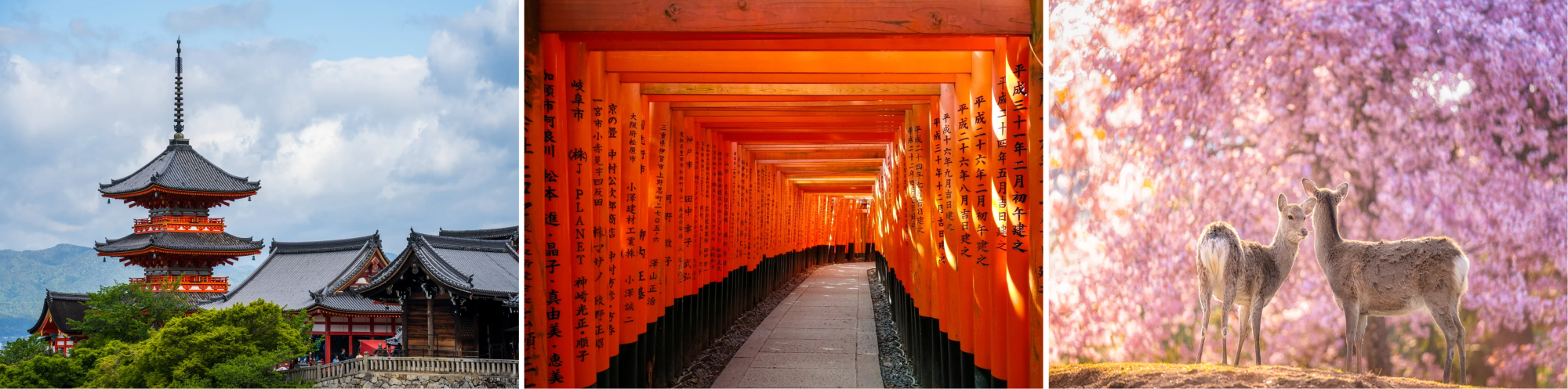 京都奈良