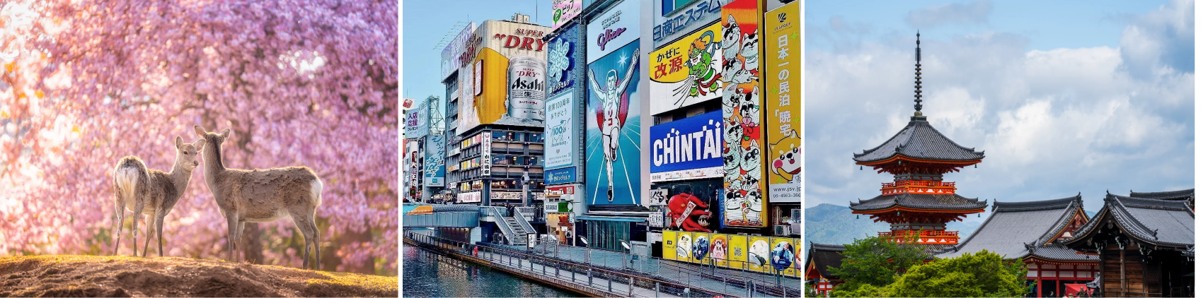 日本5天 3